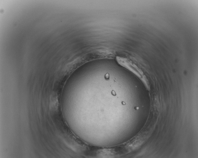 X0000063480320200601271701