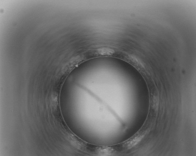 X0000063480321200601271701