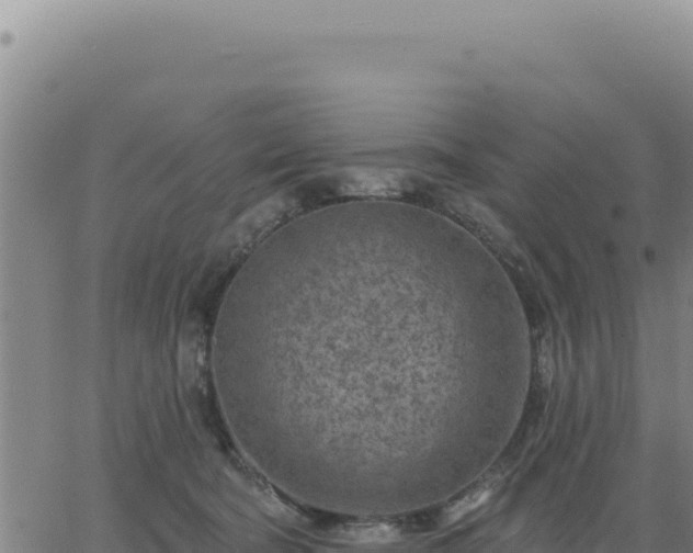 X0000063480322200601271701