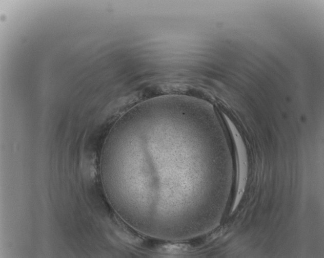 X0000063480323200601271701