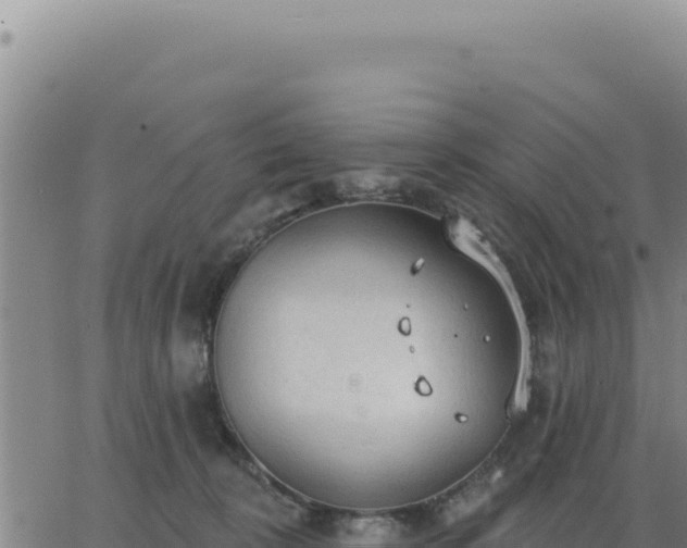 X0000063480324200601271701