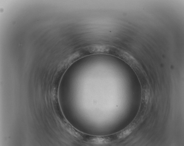 X0000063480326200601271701