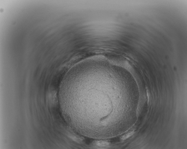 X0000063480327200601271701