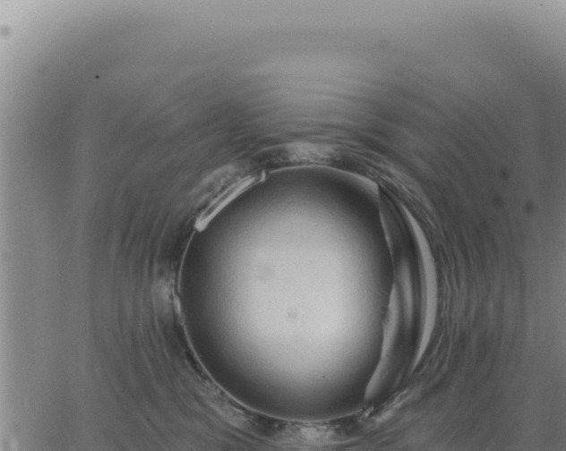 X0000063480329200601271701