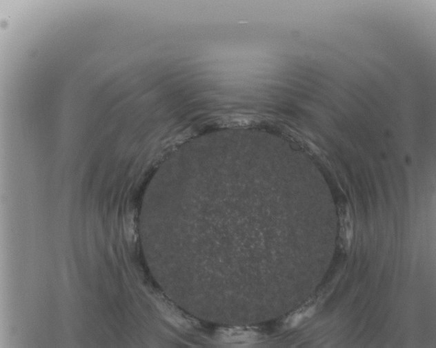 X0000063480331200601271701