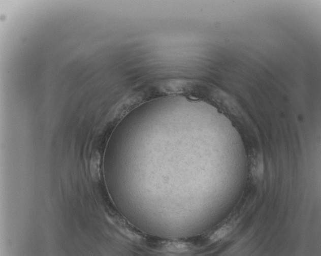 X0000063480332200601271701