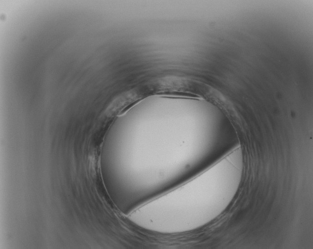 X0000063480333200601271701