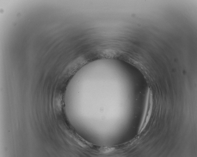 X0000063480334200601271701