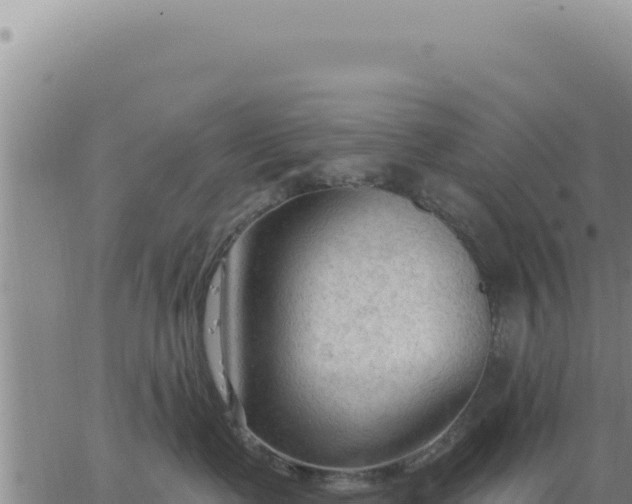 X0000063480335200601271701