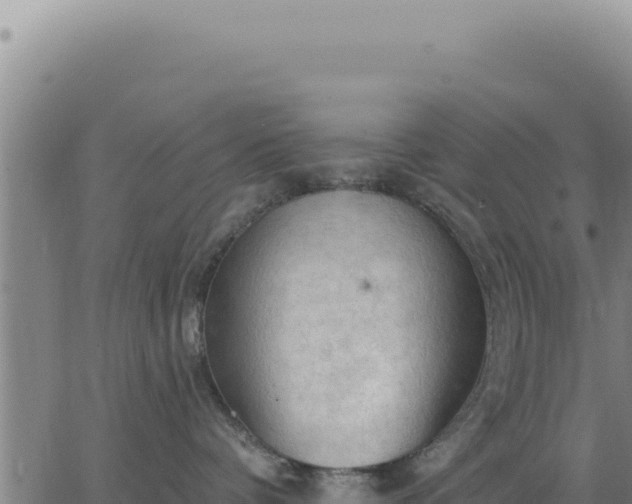 X0000063480336200601271701