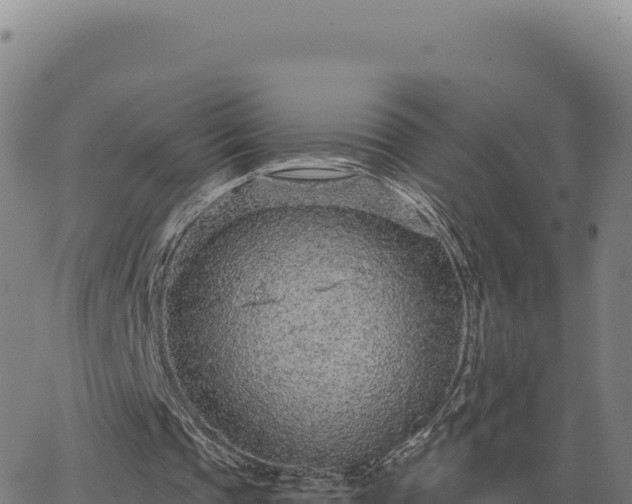 X0000063480337200601271700