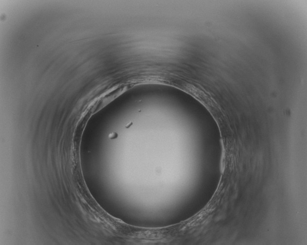 X0000063480338200601271700