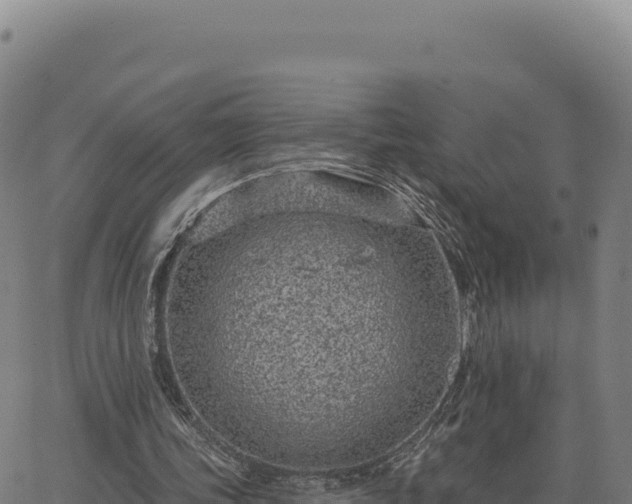 X0000063480339200601271700