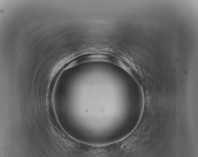 X0000063480340200601271700