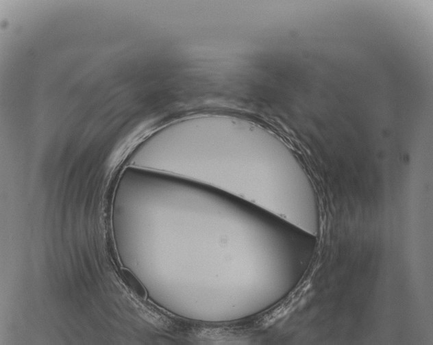 X0000063480341200601271700