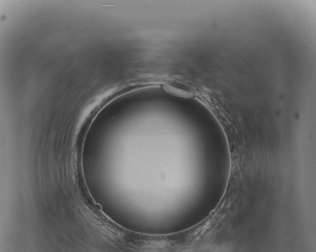 X0000063480342200601271700