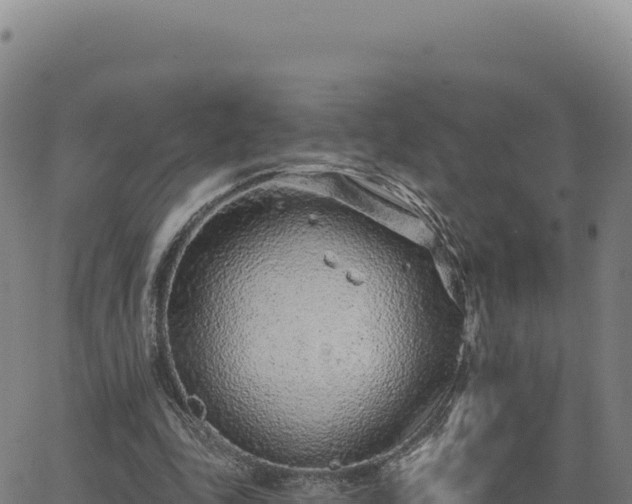 X0000063480343200601271700