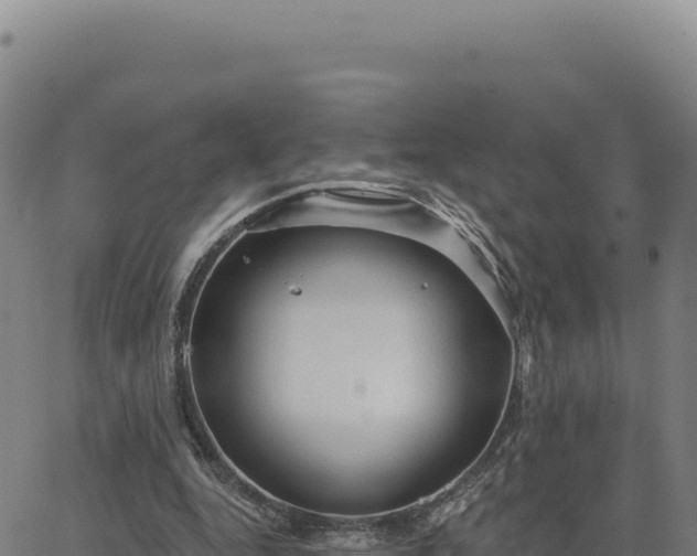 X0000063480344200601271700