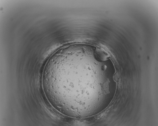 X0000063480346200601271700