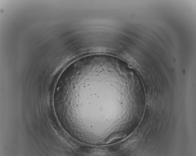 X0000063480347200601271700