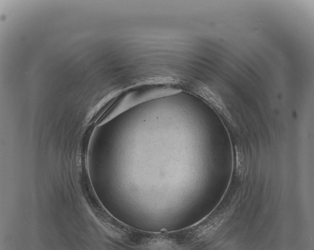 X0000063480348200601271700