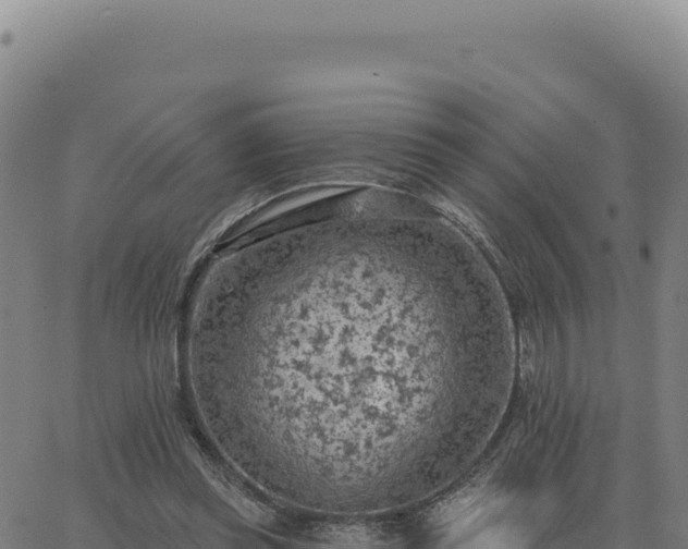 X0000063480349200601271700