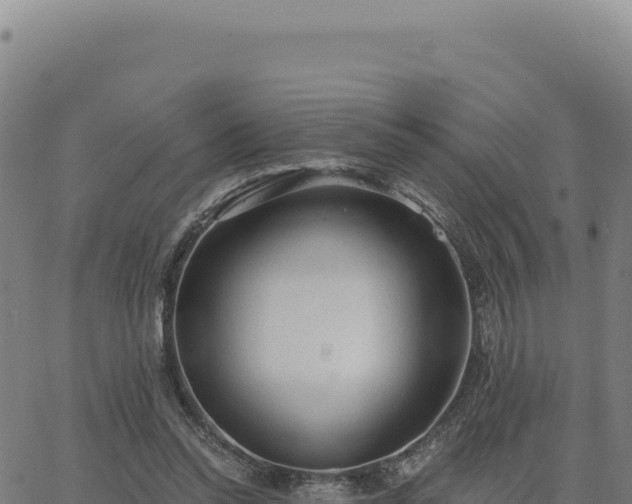 X0000063480350200601271700