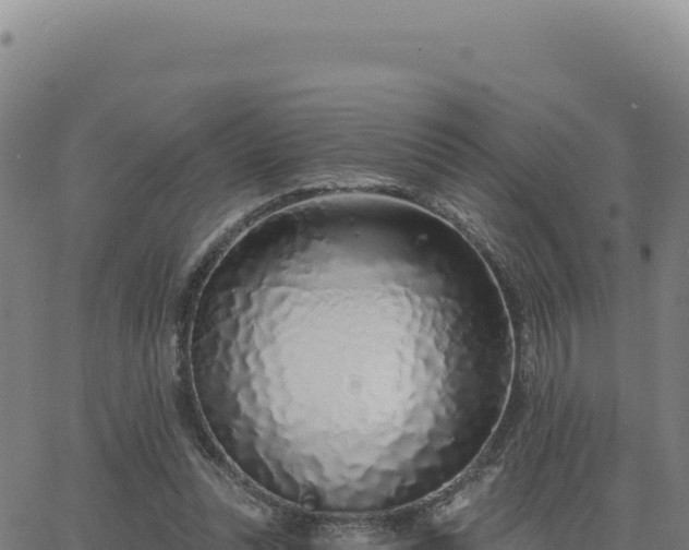 X0000063480351200601271700