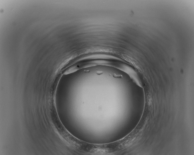 X0000063480352200601271700