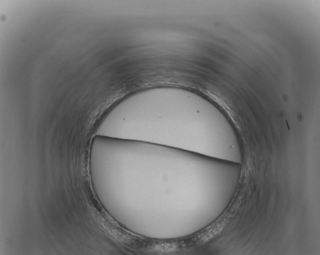 X0000063480353200601271700