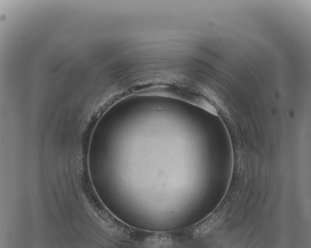 X0000063480354200601271700