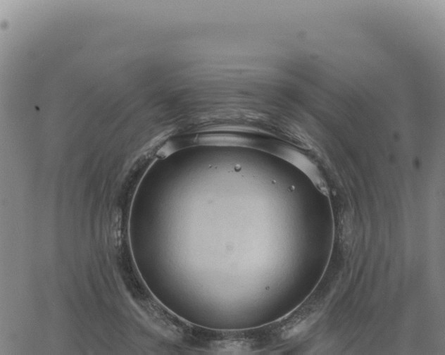 X0000063480356200601271700