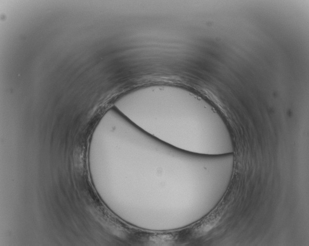 X0000063480357200601271700