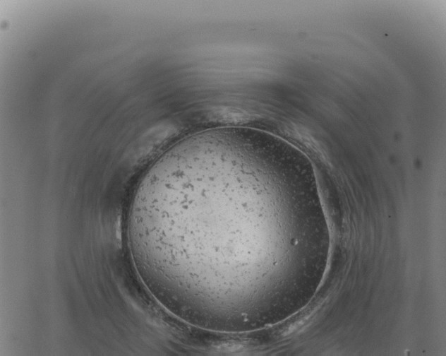 X0000063480358200601271700