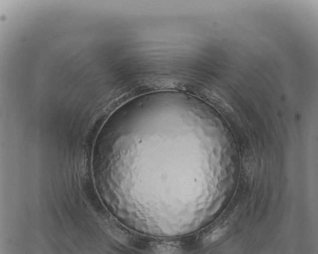 X0000063480359200601271700