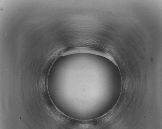 X0000063480360200601271700