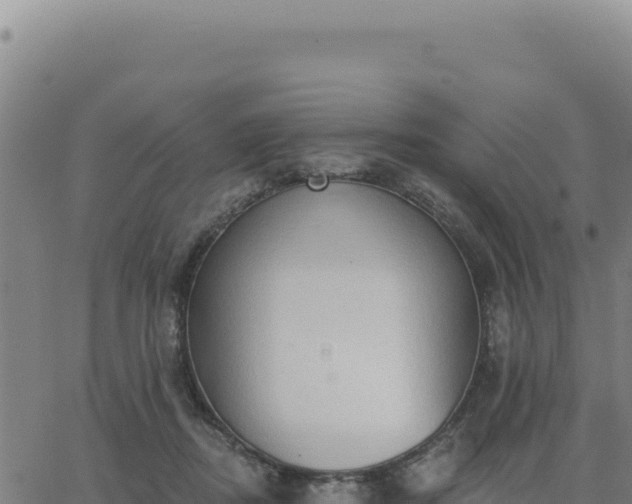 X0000063480362200601271700