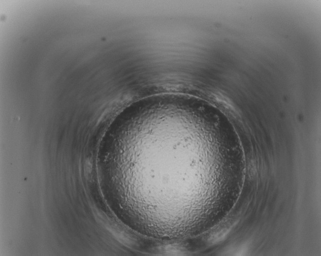 X0000063480365200601271700