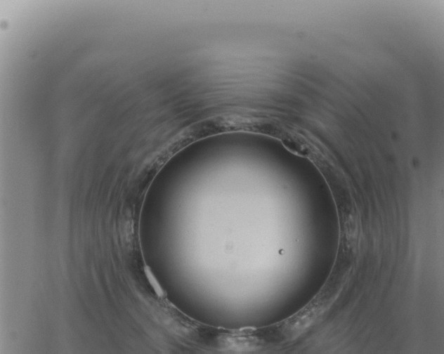 X0000063480372200601271701