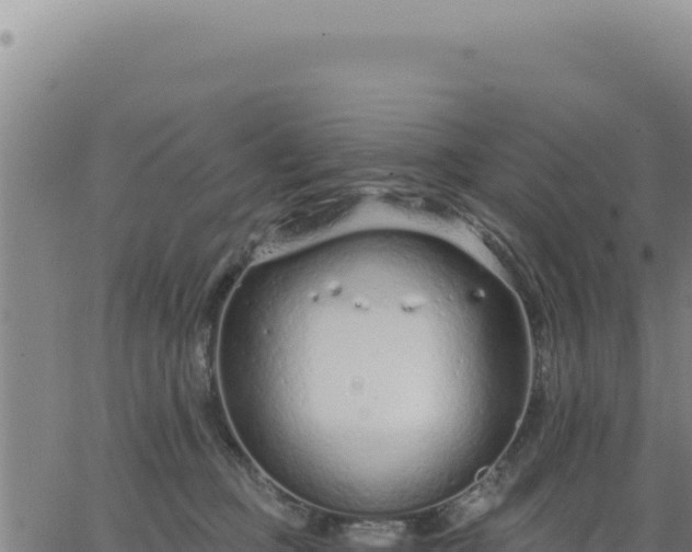 X0000063480373200601271701