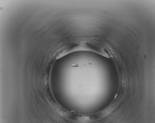 X0000063480374200601271701