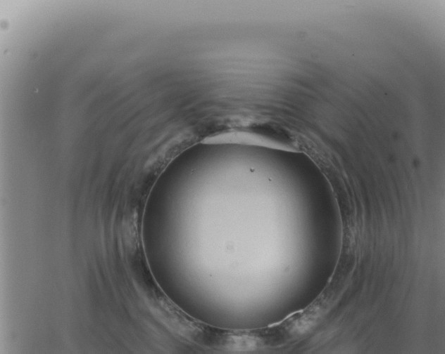 X0000063480376200601271701