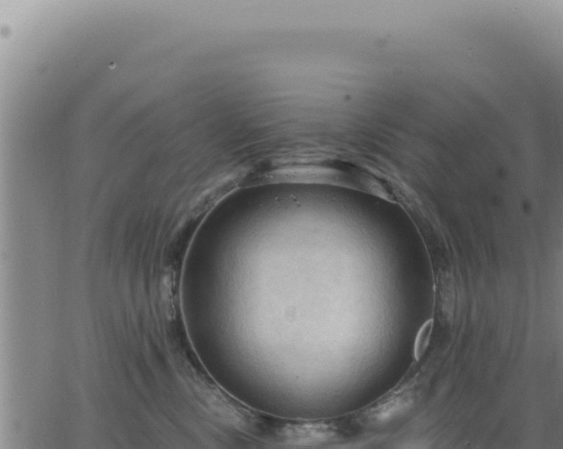 X0000063480378200601271701