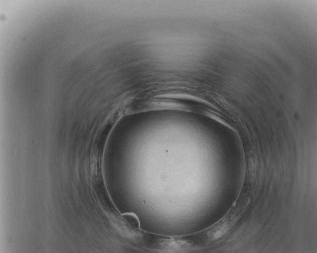 X0000063480379200601271701