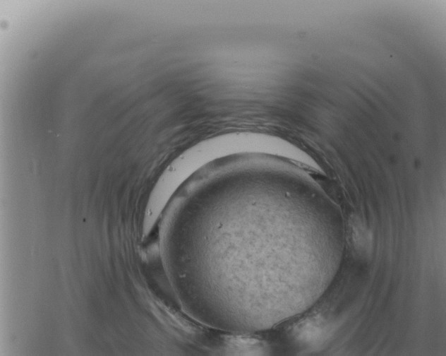 X0000063480380200601271701