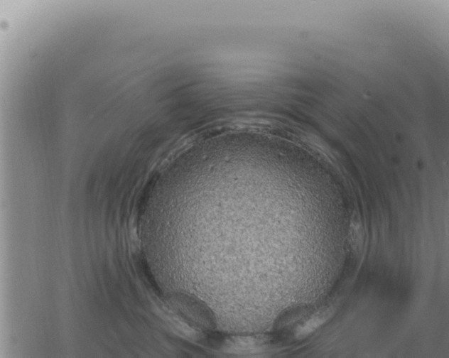 X0000063480381200601271701