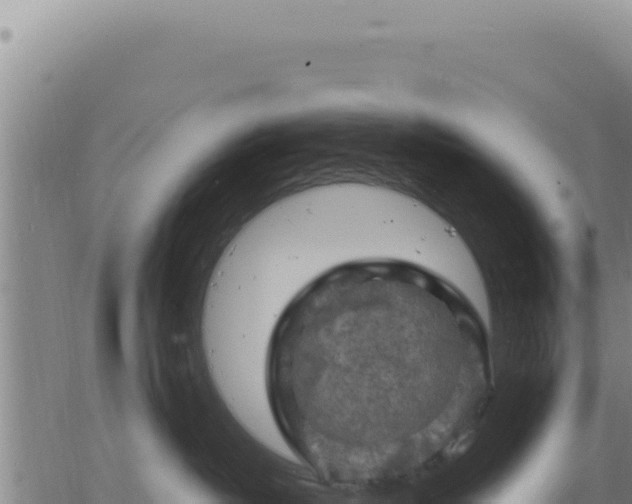 X0000063480382200601271701