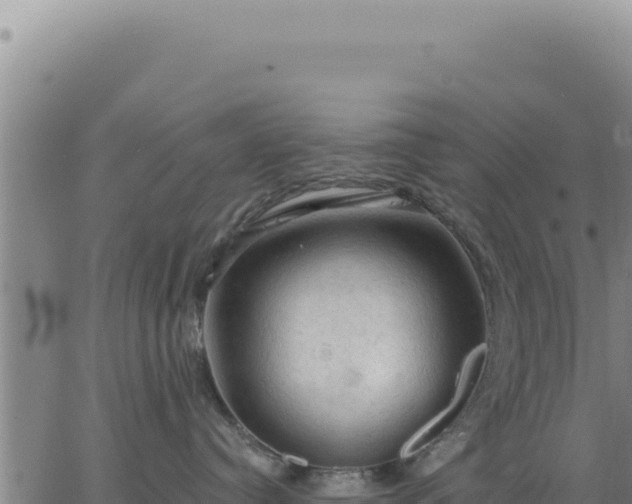 X0000063480384200601271701