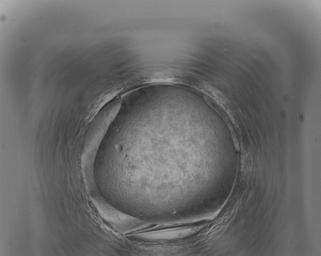 X0000063480385200601271700