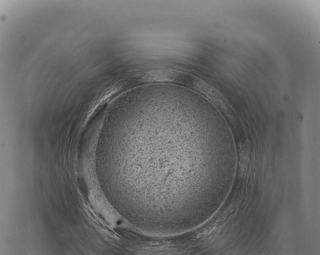 X0000063480386200601271700